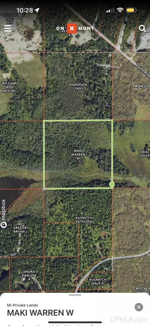 40 Acres Off Paint Riv, Crystal Falls, MI 49920
