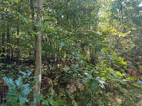 300-30 Easement, Harrison, MI 48625 photo 2