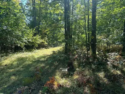 300-30 Easement, Harrison, MI 48625 photo 3