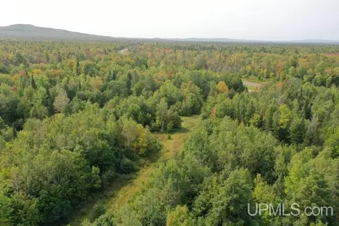 tbd M-64, White Pine, MI 49971 photo 10