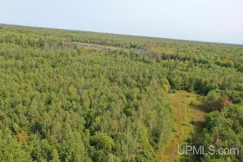 tbd M-64, White Pine, MI 49971 photo 5