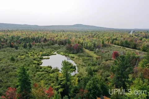 tbd M-64, White Pine, MI 49971 photo 2