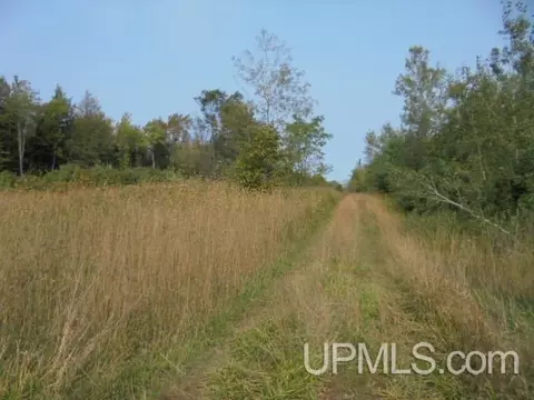 tbd M-64, White Pine, MI 49971 photo 9