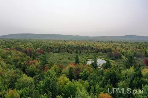tbd M-64, White Pine, MI 49971