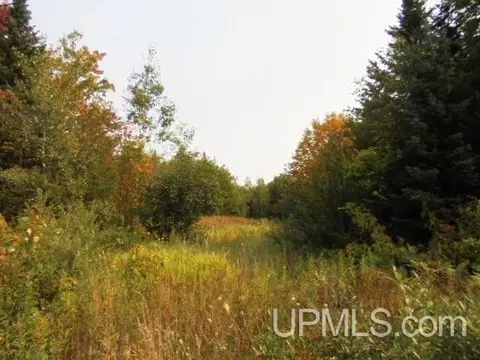 tbd M-64, White Pine, MI 49971 photo 7