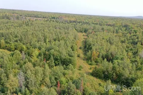 tbd M-64, White Pine, MI 49971 photo 13
