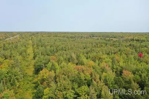 tbd M-64, White Pine, MI 49971 photo 12