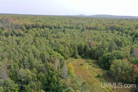 tbd M-64, White Pine, MI 49971 photo 6