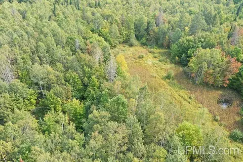 tbd M-64, White Pine, MI 49971 photo 4
