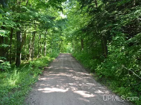 0000 Peter White, Au Train, MI 49806 photo 8
