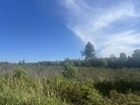 tbd Forsberglittle Finland Cutoff, Iron River, MI 49935