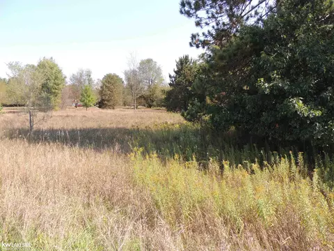 11130 N Brinton #11130, Lake, MI 48632