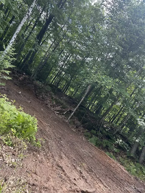 tbd Mcclure Dm, Negaunee, MI 49866