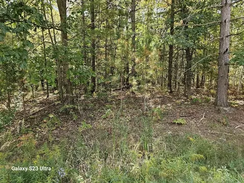 Vl Old M 30 & Rivers Rd, Gladwin, MI 48624