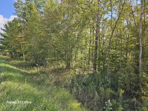 Vl Old M 30 & Rivers Rd, Gladwin, MI 48624 photo 4