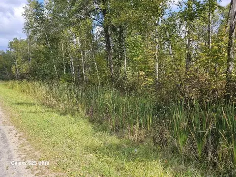 Vl Old M 30 & Rivers Rd, Gladwin, MI 48624 photo 3
