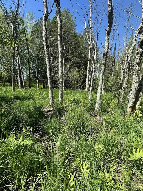 1 5 Acres Brampton 275, Gladstone, MI 49837