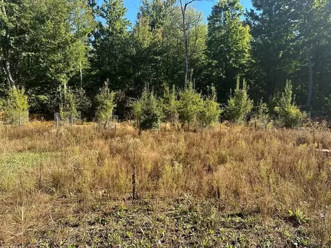 300-26 Easement, Harrison, MI 48625 photo 13