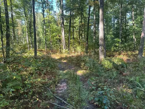 300-26 Easement, Harrison, MI 48625 photo 5