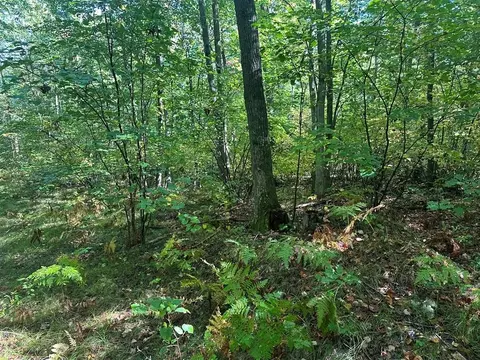 300-26 Easement, Harrison, MI 48625 photo 2