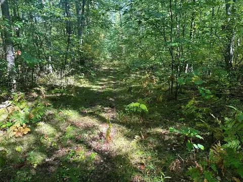 300-26 Easement, Harrison, MI 48625 photo 3