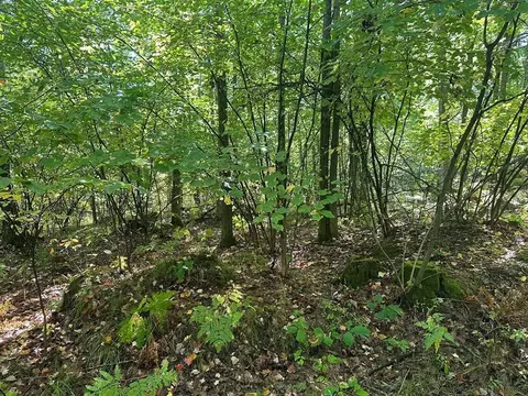 300-26 Easement, Harrison, MI 48625