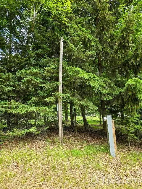 8319 Ee25, Rapid River, MI 49878 photo 14