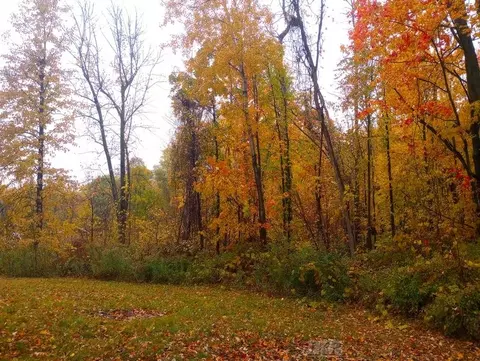 2144 S M-18, Gladwin, MI 48624 photo 24