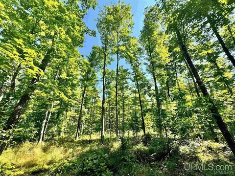tbd 80 St Cyr, Skanee, MI 49962
