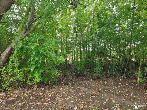 Exterior - 7921 Crabb Rd, Temperance, MI 48182 photo 4 of 8