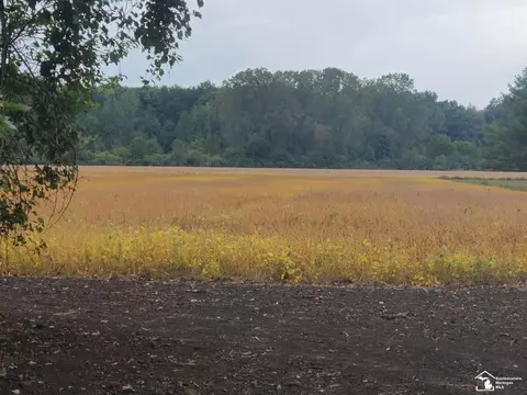 Other - 7921 Crabb Rd, Temperance, MI 48182 photo 5 of 8