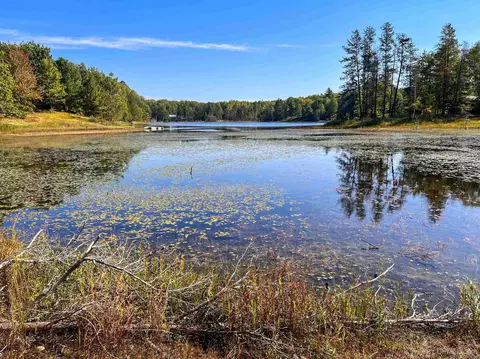 tbd E Martin Lk, Skandia, MI 49885