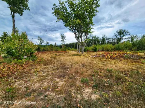 Maybee, Roscommon, MI 48653 photo 14