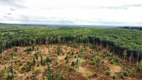 Maybee, Roscommon, MI 48653 photo 20