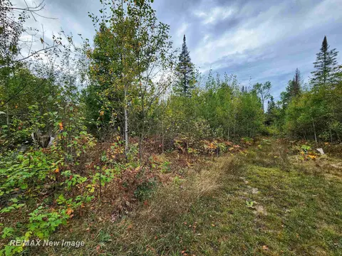 Maybee, Roscommon, MI 48653 photo 13