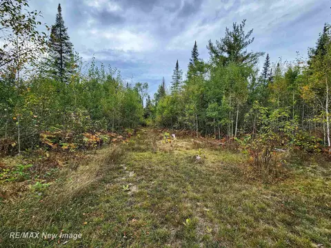 Maybee, Roscommon, MI 48653 photo 11