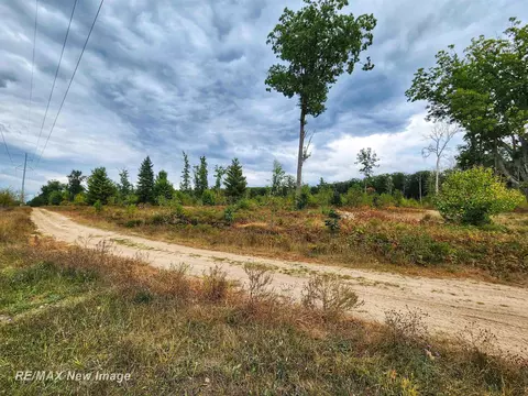 Maybee, Roscommon, MI 48653 photo 8