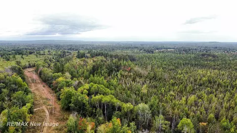 Maybee, Roscommon, MI 48653 photo 23
