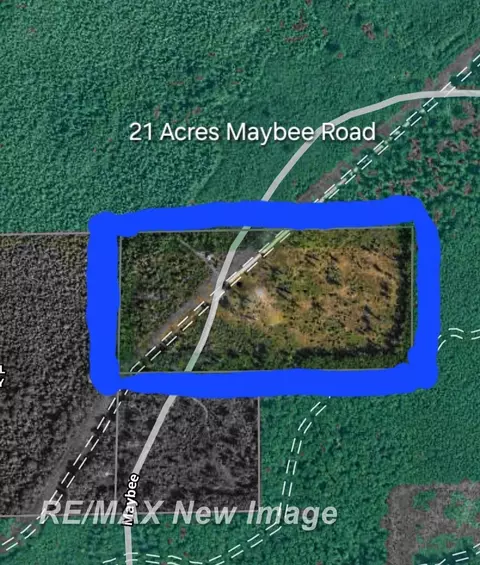 Maybee, Roscommon, MI 48653 photo 32