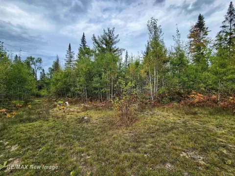 Maybee, Roscommon, MI 48653 photo 12