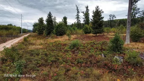 Maybee, Roscommon, MI 48653 photo 31