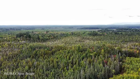 Maybee, Roscommon, MI 48653 photo 22