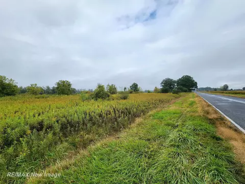 Ithaca, Saint Charles, MI 48655 photo 2