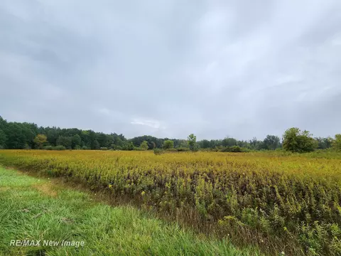 Ithaca, Saint Charles, MI 48655