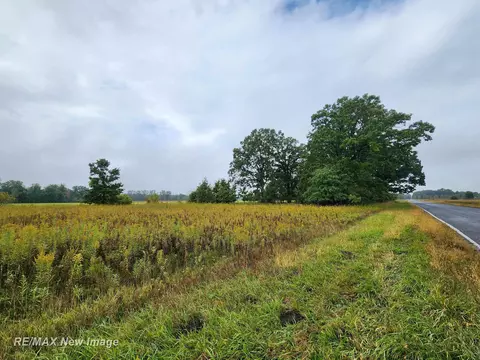 Ithaca, Saint Charles, MI 48655 photo 5
