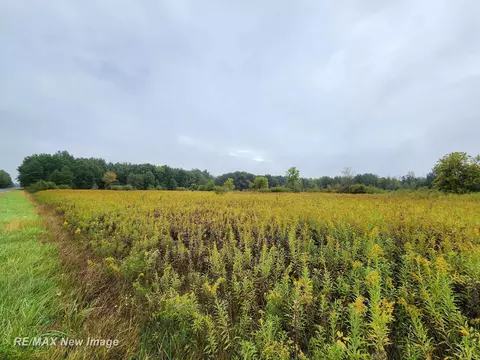 Ithaca, Saint Charles, MI 48655 photo 3