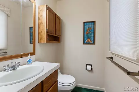 804 River Acres, Tecumseh, MI 49286 photo 25