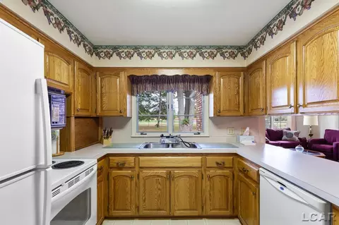 804 River Acres, Tecumseh, MI 49286 photo 5