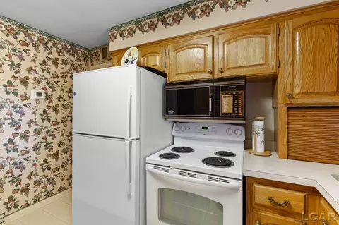 804 River Acres, Tecumseh, MI 49286 photo 7