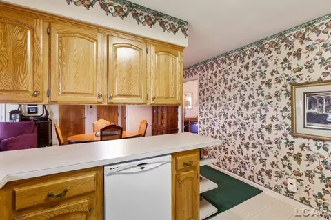 804 River Acres, Tecumseh, MI 49286 photo 6